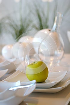 Formal Dining room place setting