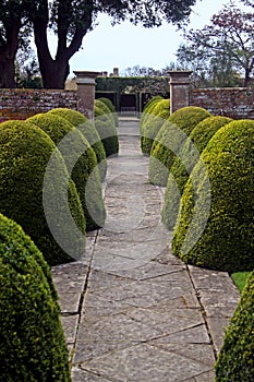 Formal English Garden