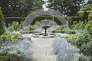 Formal English Garden with Fountain and Lavender Beds.