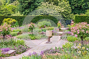 Formal flagged secluded garden with standard roses and vintage vase. photo