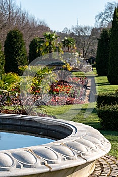 Formal flower gardens in Regent`s Park, London UK, photographed in springtime with water fountain in foreground.