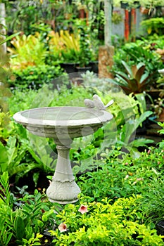 Formal Garden