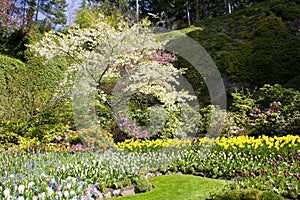 Formal Garden