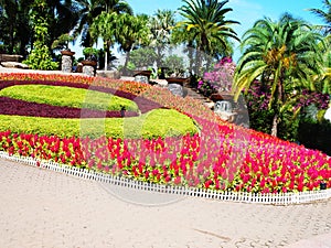 A formal garden