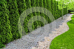 Formal garden with a path of small stones, hedgerow and green lawn