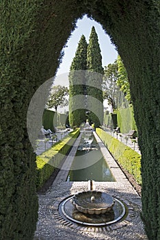 Formal gardens in the Alhambra palace in Granada Spain