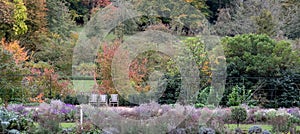 Formal Gardens at Dyrham Park, Gloucestershire. Three wooden garden chairs in a row in bottom left of the photo.