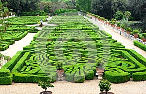 Formal gardens at Villa Doria pamphili