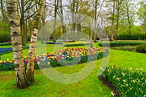 Formal spring garden