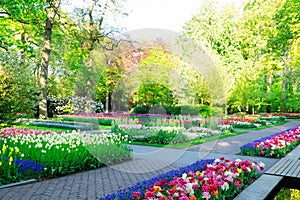 Formal spring garden