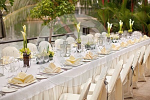 Formal table setting. Outdoor garden style table decoration