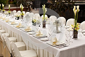 Formal table setting. Outdoor garden style table decoration