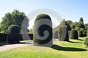 Formal topiary garden. Royal Botanic Gardens in London, England.