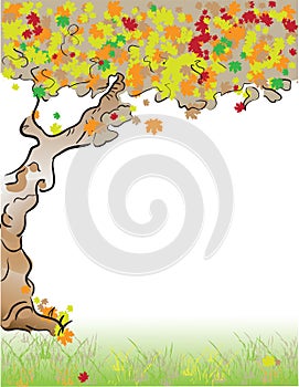 Format Letter Tree fall