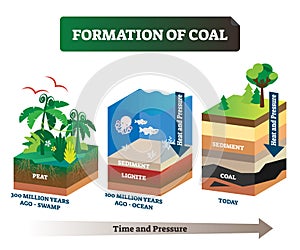 Formation of coal vector illustration. Labeled educational rock birth scheme