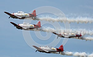 Formation flying at Sun n Fun