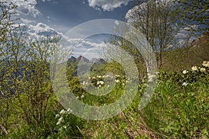 The formation and movements of clouds up to the steep slopes of the mountains of Central Caucasus peaks.