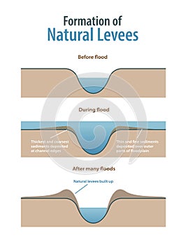 formation of natural levees infographic