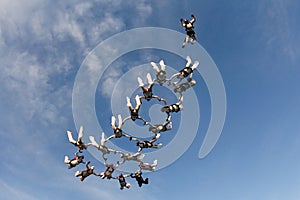 Formation skydiving in the blue sky.