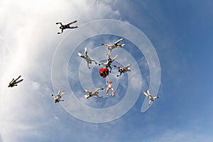 Formation skydiving in the blue sky.