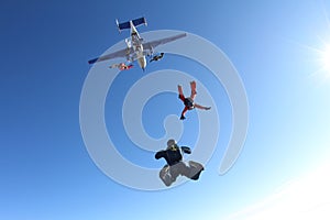 Formation skydiving. A group of skydivers is in the winter season.