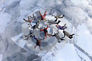 Formation skydiving. A group of skydivers is in the winter season.