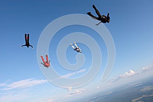 Formation skydiving. Skydivers are falling in the sky.