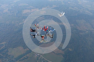Formation skydiving. Skydivers are falling in the sky.