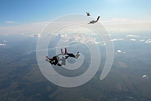 Formation skydiving. Skydivers are falling in the sky.