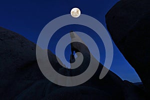 Formation Wizards Eye in Joshua Tree National Park photo