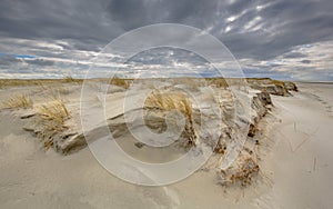 Formation of Young Dune