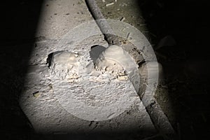 formations of calcium hydroxide on the concrete floor of an abandoned warehouse