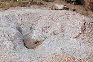 California History Series - Anza Borrego Desert State Park - possible Kumeyaay Grinding Stone photo