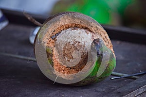 Formed of a coconut shell, rotten coconut