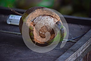 Formed of a coconut shell, rotten coconut