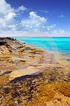 Formentera island Illetas rocky shore turquoise