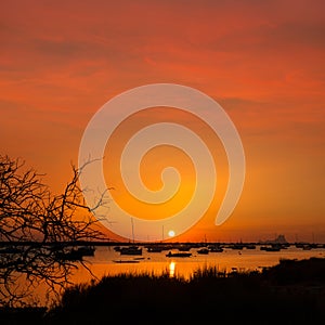 Formentera sunset in Estany des Peix with Ibiza Es vedra