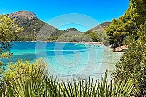 Formentor beach photo