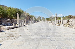 The Former Harbor Street of Ancient Ephesus