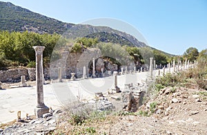 The Former Harbor Street of Ancient Ephesus