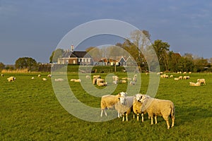 Former island of Schokland, UNESCO World Heritage Site, Netherlands