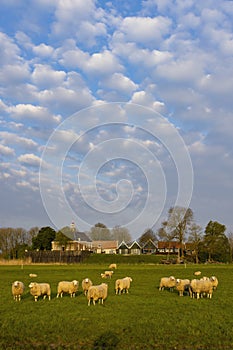 Former island of Schokland, UNESCO World Heritage Site, Netherlands