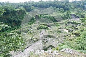 former sand quarry overgrown with green plants in slope of merapi mountain