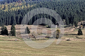 The former settlement KÃÂ¶nigsmÃÂ¼hle photo