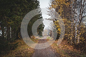 Former Skreiabanen Railroad westward from Lena village on a foggy autumn evening in Toten, Norway