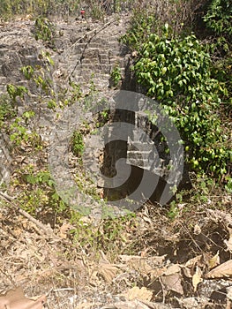 former stone quarry overgrown with bushes