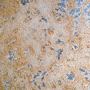 Formica Texture