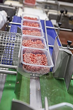 Forming from minced meat for packing. Line for the production of semi-finished meat products.Meat processing in food industry.