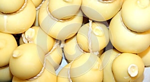Forms of caciocavallo cheese dop sale in market