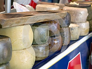 Forms of italian pecorino cheese on a table in a fair